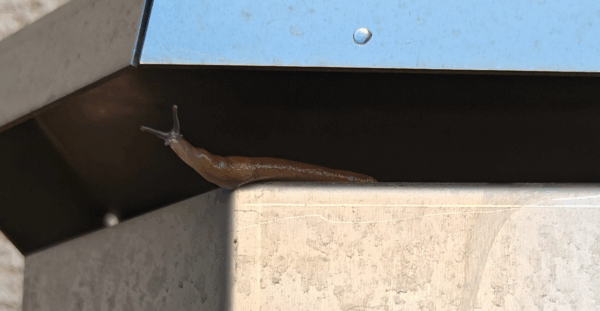 Detector Solutions gasövervakning – sniffer & fågelholk